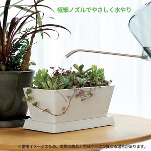 リッチェル 水差し グレース ラウンドピッチャ...の詳細画像2