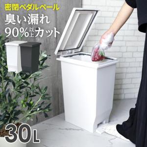 アスベル（ASVEL） ゴミ箱 エバン 密閉ペダルペール 20L ホワイト