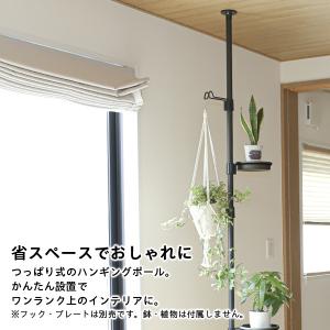 リッチェル ボタニー ハンギングポール【ポール...の詳細画像2