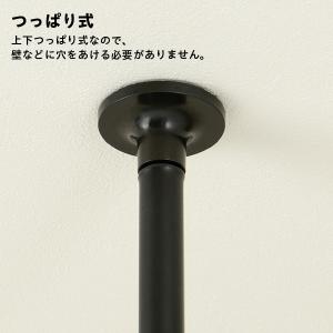 リッチェル ボタニー ハンギングポール【ポール...の詳細画像3
