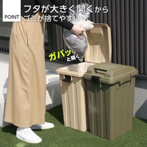 屋外ゴミ箱 連結ハンドルペール45 2個セット...の詳細画像3