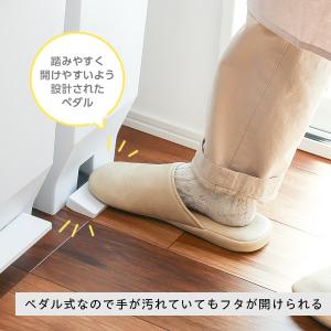 ゴミ箱 エバン 両開きペダルペール 30L+4...の詳細画像2