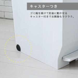 ゴミ箱 エバン 両開きペダルペール 30L+4...の詳細画像4