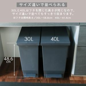 ゴミ箱 エバン 両開きペダルペール 30L+4...の詳細画像5