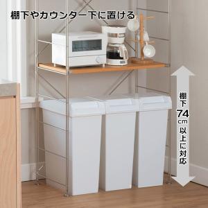 ゴミ箱 ユニード ユニードスライドペール45 ...の詳細画像1
