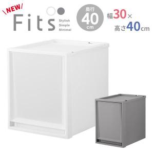 天馬 収納ケース Fits フィッツケースマルチ 幅40×奥行40×高さ20cm