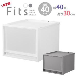 天馬 収納ケース Fits フィッツケースマルチ 4個セット 幅35×奥行40×高