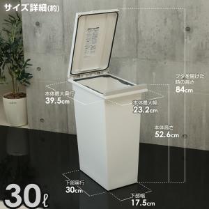 ゴミ箱 キッチン エバンMP 密閉 プッシュペ...の詳細画像5