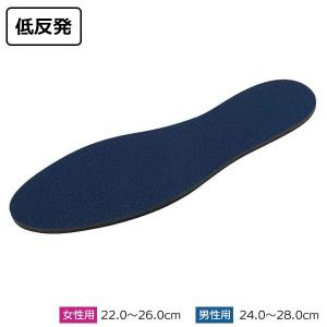 インソール リフレッシュ 抗菌+消臭 男性用 フリーサイズ 24~28cm (100