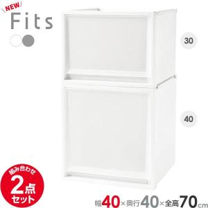 天馬 収納ケース Fits フィッツケースマルチ 3点セット 3020×2個+3040