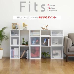 収納ケース Fits フィッツケースマルチ 2...の詳細画像2