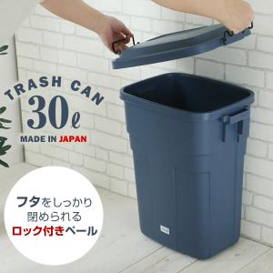 ゴミ箱 屋外 トラッシュカン 30L グレー/...の詳細画像1