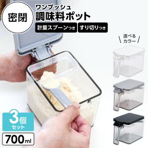 アスベル（ASVEL） 調味料ストッカー Nフォルマ ステンレス 2 640ml