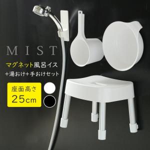 LIXIL（INAX） とるピカスリムカウンター スモーククリア 【品番：CT