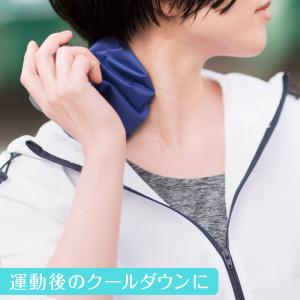 ピーコック 保冷氷のう アイスパック 布 | ...の詳細画像3