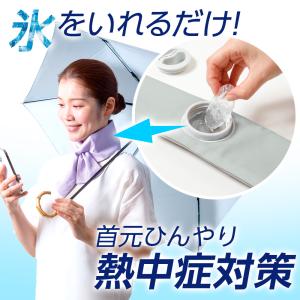 熱中症対策 巻ける氷のう 小さめ | 巻ける ...の詳細画像1