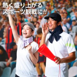 熱中症対策 巻ける氷のう 小さめ | 巻ける ...の詳細画像4