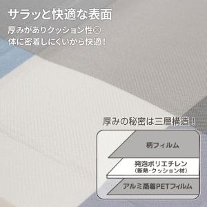 ソフトクッション レジャーシート M 180×...の詳細画像2