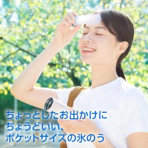 ピーコック 保冷氷のう 2個セット ミニアイス...の詳細画像1