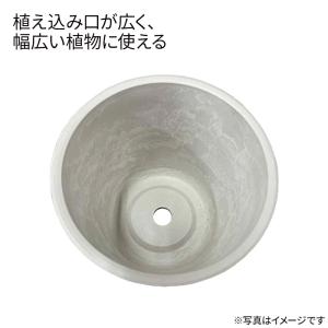 リッチェル 植木鉢 ボタニー ミディポット 1...の詳細画像3