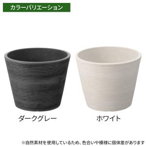 リッチェル 植木鉢 ボタニー ミディポット 1...の詳細画像4