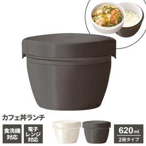 スケーター 弁当箱 保温 保温弁当箱 丼 ランチジャー 魔女の宅急便