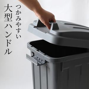 屋外ゴミ箱 ハンドルペール 45L | 公認シ...の詳細画像2