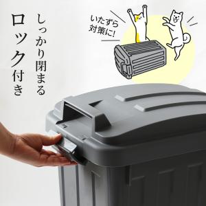 屋外ゴミ箱 ハンドルペール 45L | 公認シ...の詳細画像3