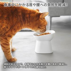 山崎実業 nooks ヌークス 早食い防止 ペ...の詳細画像1