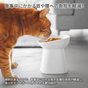 山崎実業 nooks ヌークス 早食い防止 ペ...の詳細画像1