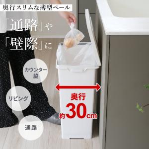 横長ワイドな薄型 ペダル式ゴミ箱 45L オー...の詳細画像1