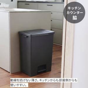 横長ワイドな薄型 ペダル式ゴミ箱 45L オー...の詳細画像2