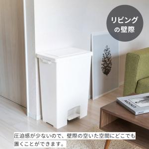 横長ワイドな薄型 ペダル式ゴミ箱 45L オー...の詳細画像3