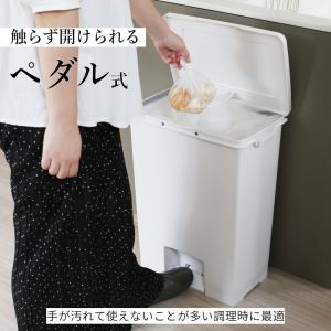 横長ワイドな薄型 ペダル式ゴミ箱 45L オー...の詳細画像5