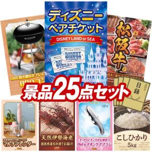 景品 特大パネル 25点セット ディズニー アウ...の商品画像