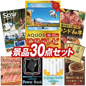 景品 特大パネル 30点セット テレビ 体験ギフ...の商品画像