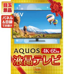 景品 特大パネル 30点セット テレビ 体験ギ...の詳細画像1