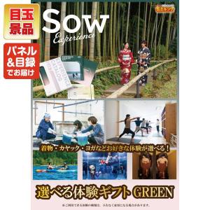 景品 特大パネル 30点セット テレビ 体験ギ...の詳細画像2