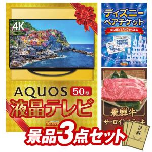 景品 特大パネル 3点セット テレビ ディズニー 肉 ビンゴカード付 結婚式 ゴルフコンペ 懇親会 イベント