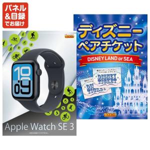 景品 特大パネル 25点セット 家電 Appl...の詳細画像2