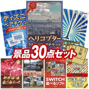 景品 特大パネル 30点セット チケット ディズニー 家電 肉 温泉 ゲーム 子供向け 選べる景品 大人買い ビンゴカード付 結婚式 ゴルフコンペ 懇親会 イベント