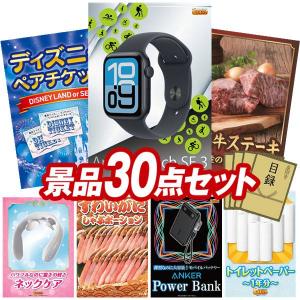 景品 特大パネル 30点セット Apple ディ...の商品画像