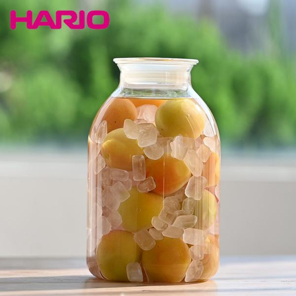 ガラスの手仕事保存びん 耐熱ガラス ハリオ 保存容器 瓶 HARIO