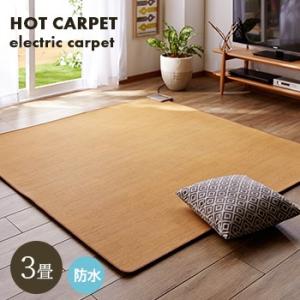 TEKNOS（テクノス） TWM-3000M ホットカーペット 木目フローリング