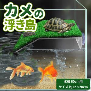 爬虫類 亀 かめ 浮き島 水槽台 ドック浮動 カメ桟橋