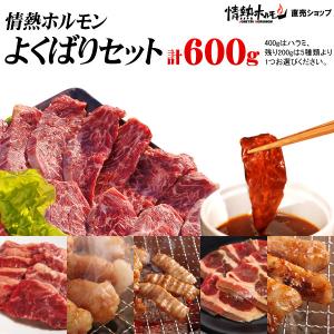 肉 焼肉 焼き肉 バーベキュー BBQ に 情熱ホルモン よくばりセット 計600g ハラミ ジューシーカルビ マルチョウ テッチャン他 バーベキュー 焼肉 焼き｜yhjonetsu