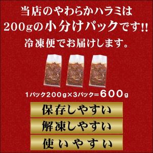 ハラミ 焼肉 肉 牛肉 焼き肉 焼肉セット バ...の詳細画像1