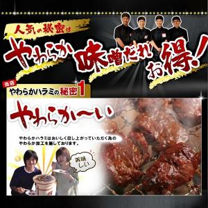 ハラミ 焼肉 肉 牛肉 焼き肉 焼肉セット バ...の詳細画像3