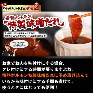ハラミ 焼肉 肉 牛肉 焼き肉 焼肉セット バ...の詳細画像4