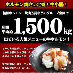 肉 牛肉 焼肉 焼き肉 ホルモン 焼肉 牛ホル...の詳細画像2